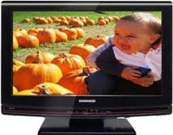 19'' LCD TV/MONITOR